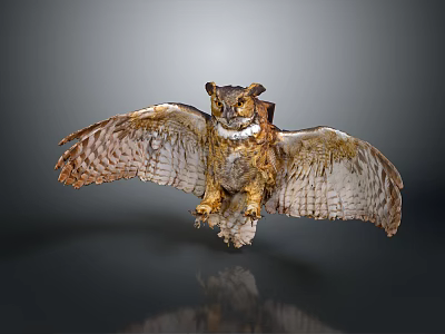 Realistic Owl With Spread Wings And Brown White Feathers In Flying Pose On Dark Background 3d model