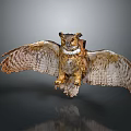 Realistic Owl With Spread Wings And Brown White Feathers In Flying Pose On Dark Background