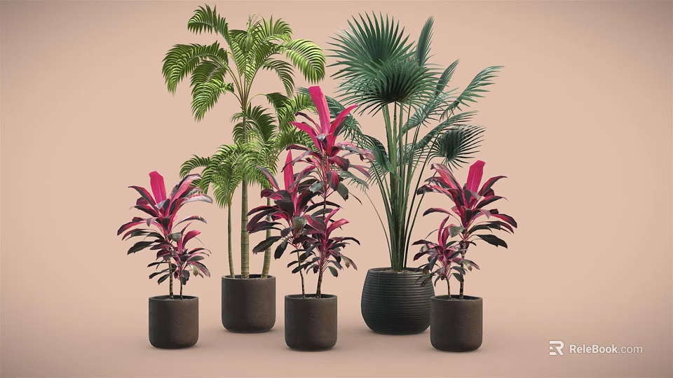 Potted Plants of Various Types with Different Heights Green and Red Leaves in Black Pots 3d model 