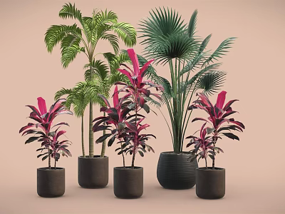 Potted Plants of Various Types with Different Heights Green and Red Leaves in Black Pots 3d model