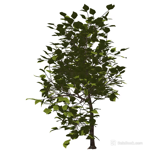 Lush Green Shrub With Vibrant Foliage And Healthy Branch Growth 3d model 