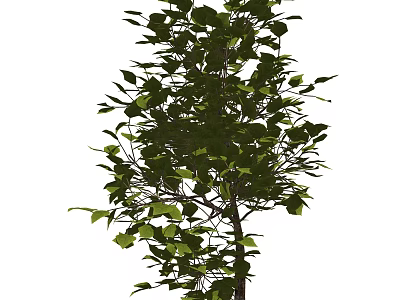 Lush Green Shrub With Vibrant Foliage And Healthy Branch Growth 3d model