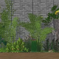 Lush Green Plants Including Bamboo Ferns And Flowering Tree By Brick Wall On Wooden Floor