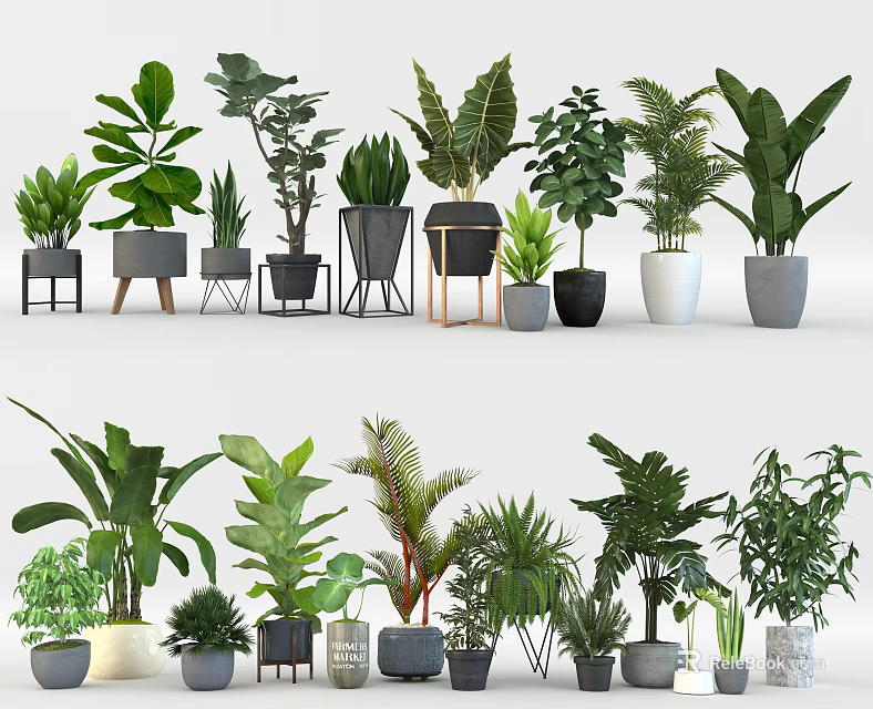 Top Varieties Of Leafy Potted Plants In Stylish Decorative Pots For Home Decor 3d model 
