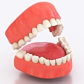 mouth teeth tongue mouth 3d model