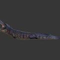 Modern Crocodile Alligator 3d model