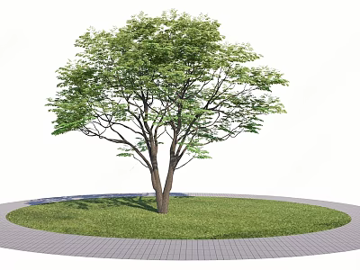 Lush Tree On Circular Lawn With Paved Path 3d model