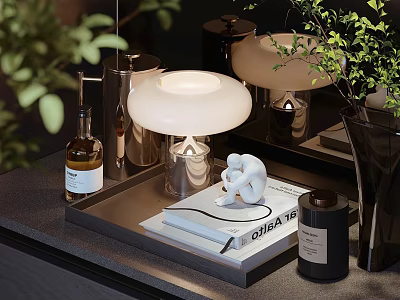 Modern Tabletop Decorative Ornament Set With Lamp Books Scented Bottle Small Figurine And Plants 3d model