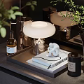 Modern Tabletop Decorative Ornament Set With Lamp Books Scented Bottle Small Figurine And Plants