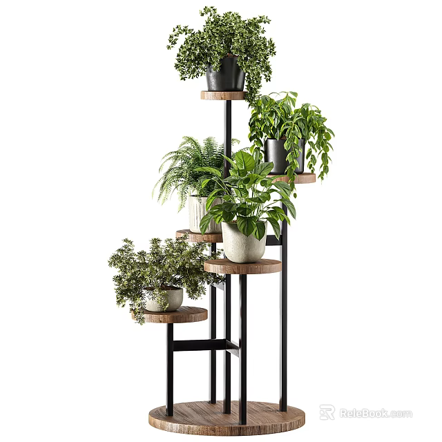Multi Tiered Plant Stand With Various Green Indoor Plants For Home Decoration 3d model 