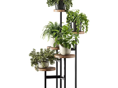 Multi Tiered Plant Stand With Various Green Indoor Plants For Home Decoration 3d model