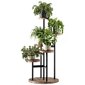 Multi Tiered Plant Stand With Various Green Indoor Plants For Home Decoration