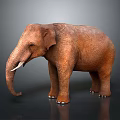 3D Elephant Model With Brown Skin Ivory Tusks And Dark Background Reflection 3d model