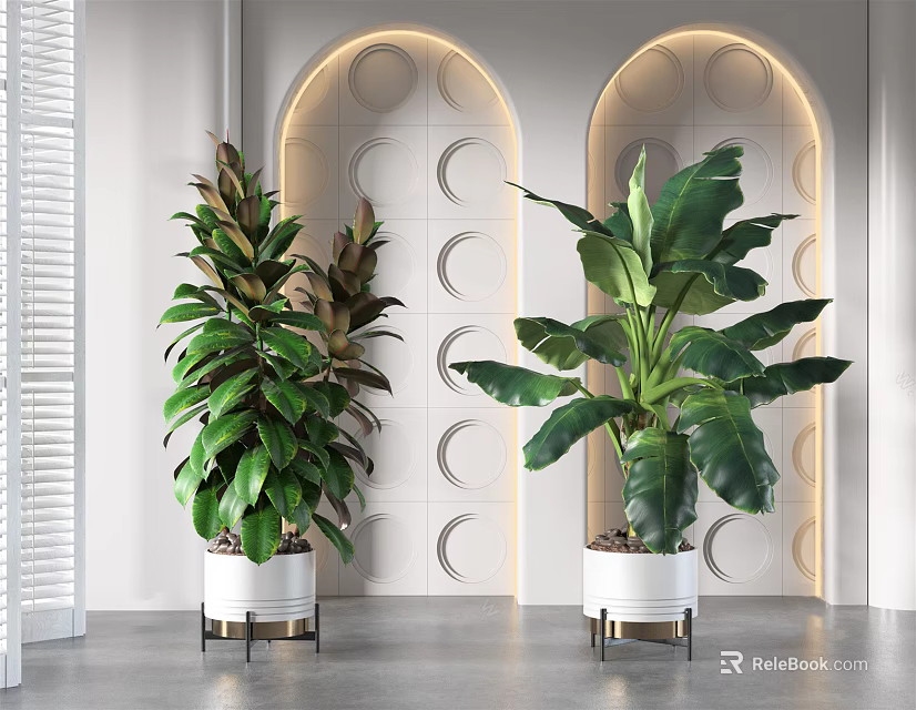 Large Green Potted Plants In White Pots With Metal Stands And Circular Wall Decor 3d model 