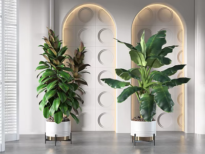 Large Green Potted Plants In White Pots With Metal Stands And Circular Wall Decor 3d model