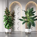 Large Green Potted Plants In White Pots With Metal Stands And Circular Wall Decor