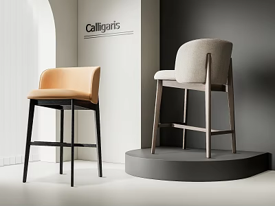 Bar Chair Bar Stool High Stool 3d model