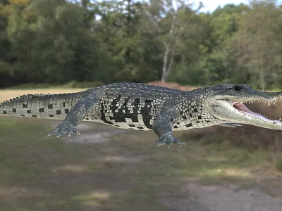 Large Crocodile with Open Mouth in Natural Outdoor Setting and Green Trees 3d model