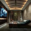 Modern SPA Sauna Interior Design With Comfortable Loungers TV Screen And Green Plants