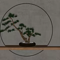 Decorative Bonsai Plant on Wooden Shelf with Round Warm Light Background