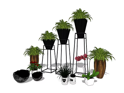 Bonsai Potted Plants with Black Metal Stands and Wooden Pots for Indoor Green Decor 3d model