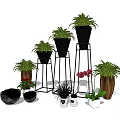 Bonsai Potted Plants with Black Metal Stands and Wooden Pots for Indoor Green Decor