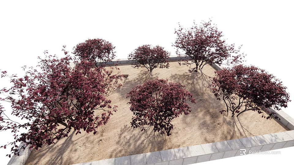 Arbor Trees with Red Leaves Growing on Sandy Ground in Square Border 3d model