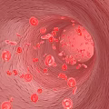 Medical Devices for Visualizing Red Blood Cells Flow in Blood Vessel Interior