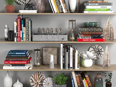 Decorative Ornament Collection On Shelves With Books Green Plants And Geometric Decor 3d model