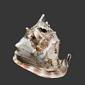 Unique Spiral Shell With Textured Surface And Cream Brown Tones On Dark Background 3d model