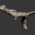 Natural Decorative Wooden Branch Sculpture With Curved Shape Texture On Gray Background