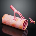 Innovative Medical Device Showing Vascular Structure With Internal Red Spheres And External Hand Like Appendages