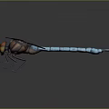 Detailed 3D Dragonfly Model Featuring Blue Body Red Head And White Wings