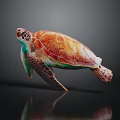 Colorful Sea Turtle with Orange Green Shell on Dark Background and Reflection 3d model