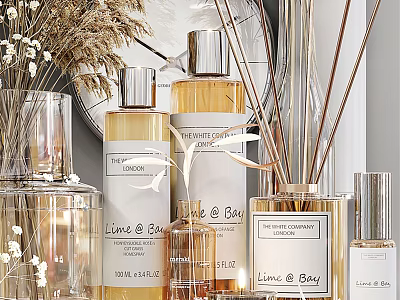 Stylish Bathroom Accessories With Reed Diffusers Fragrance Bottles And Decorative Jars 3d model