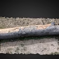 Natural Wooden Public Chair Made From Tree Trunk In Grassy Outdoor Area