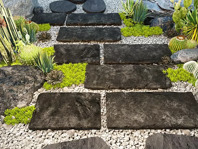 Natural Garden Landscape Design With Stone Path Succulents Cacti And Gravel 3d model