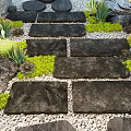 Natural Garden Landscape Design With Stone Path Succulents Cacti And Gravel