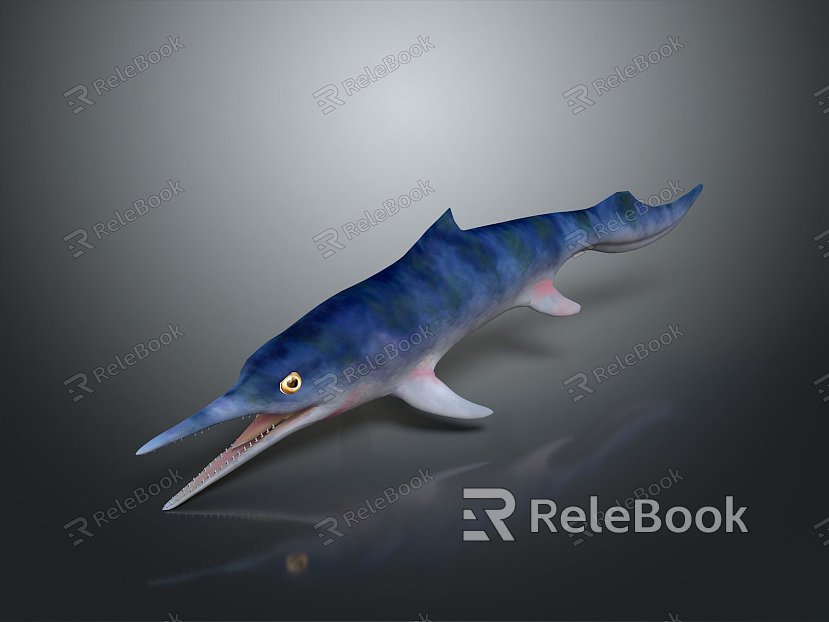 shark great white shark whale shark hammerhead shark tiger head shark man-eating shark blue shark coral red coral white coral model