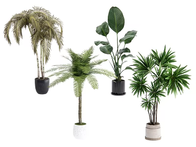 Different Types of Indoor Potted Plants with Green Leaves and Varied Planters 3d model