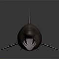 Realistic Brown Shark Model With Open Mouth Sharp Teeth And Textured Fins