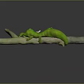 Green Caterpillar Lying On Natural Branch With White Accents And Details