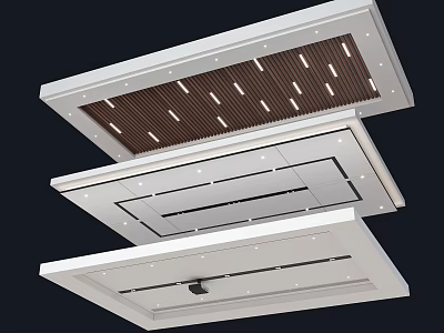 Various Modern Ceiling Designs with White Panels Brown Grille and Decorative Lines 3d model
