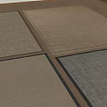 Middle Style Carpet 3d model