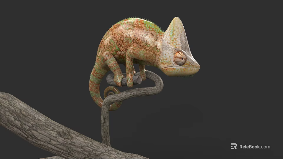 Colorful Chameleon Perched On Tree Branch With Vibrant Scales And Natural Habitat 3d model 