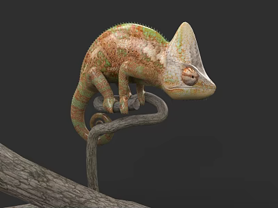 Colorful Chameleon Perched On Tree Branch With Vibrant Scales And Natural Habitat 3d model