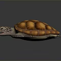 Realistic Sea Turtle With Orange Brown Shell White Brown Limbs And Head Against Dark Background
