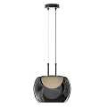 Two Modern Black Pendant Lights With Sleek Spherical Design And Beige Interior