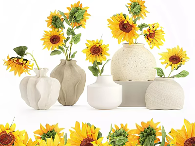 Potted Sunflower Plants In Various Ceramic Vases For Home Decoration 3d model
