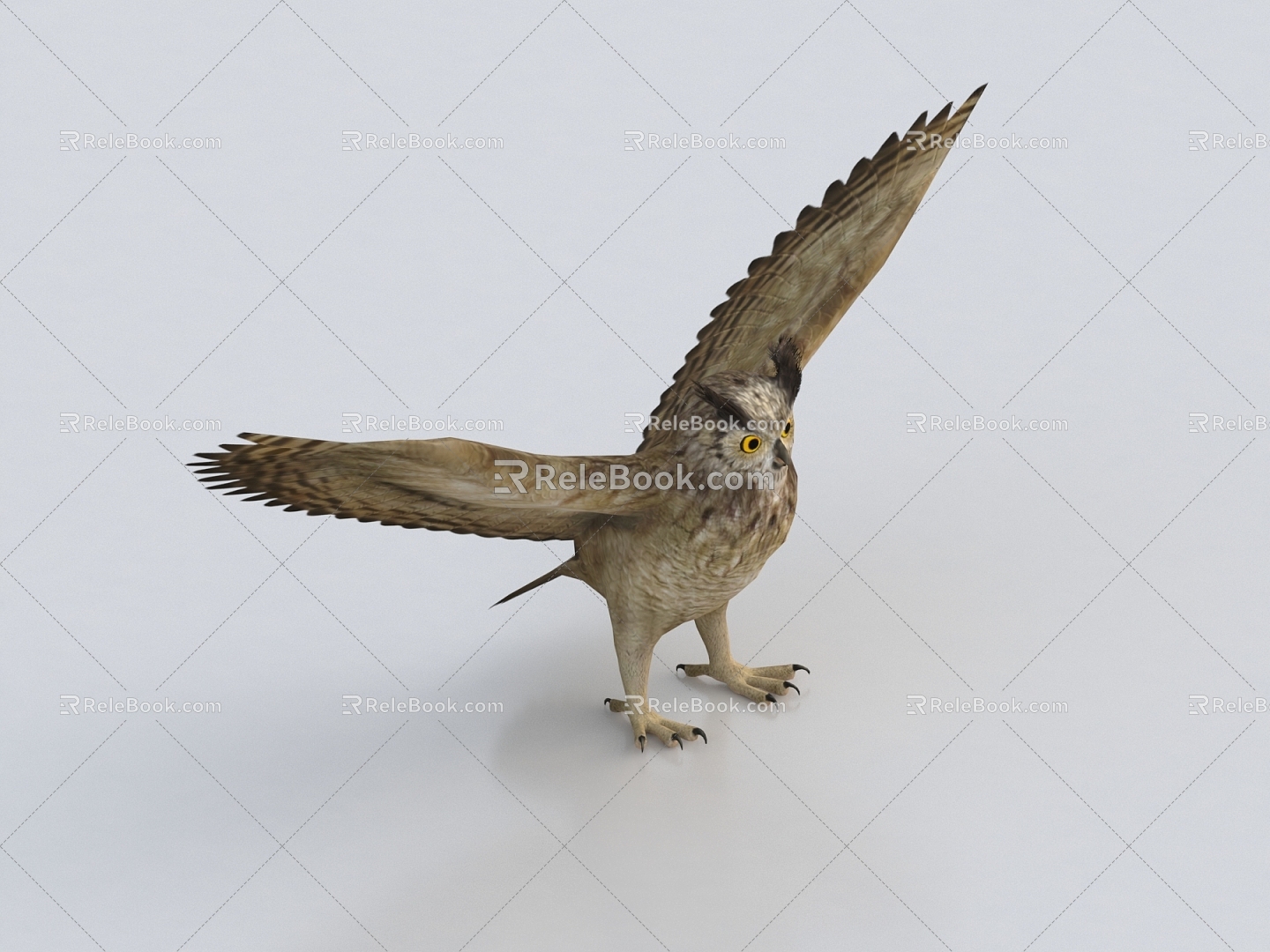 Owl Bird Flying Bird Eagle 3d model